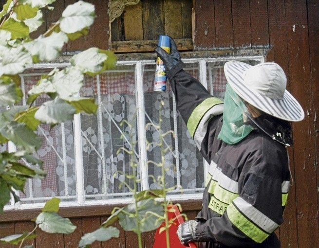 Strażacy zajęli się neutralizowaniem zgłoszonego zagrożenia....