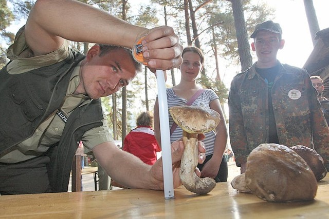 Mistrzostwa w zbieraniu grzybów w Korzybiu.