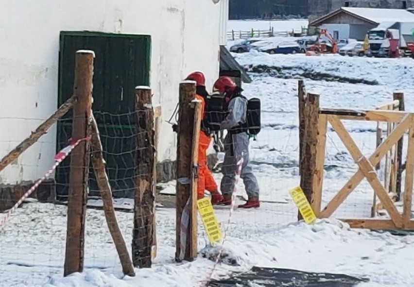 W czwartek rano słupscy strażacy przeprowadzili nietypową i...