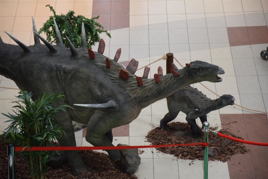 Dinozaury śmieszą i straszą w Galerii Jurajskiej