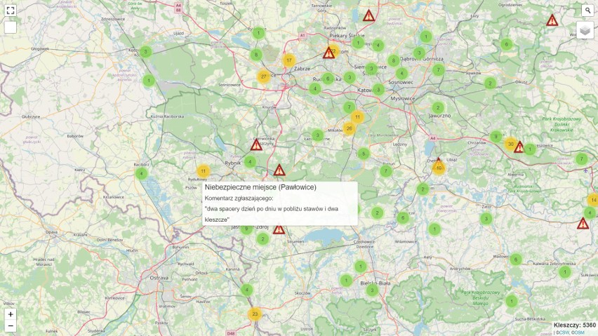 Mapa Kleszczy 2023 - gdzie jest ich najwięcej w województwie śląskim? Sprawdźcie