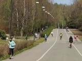 Dolina Trzech Stawów w Katowicach po miesiącu izolacji. Ludzie na spacerach, rowerach, rolkach, pływają. Można chodzić do parku i lasu