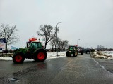 Protest rolników, 24.01.2024. Ponad 160 ciągników na proteście rolników z powiatu makowskiego i przasnyskiego