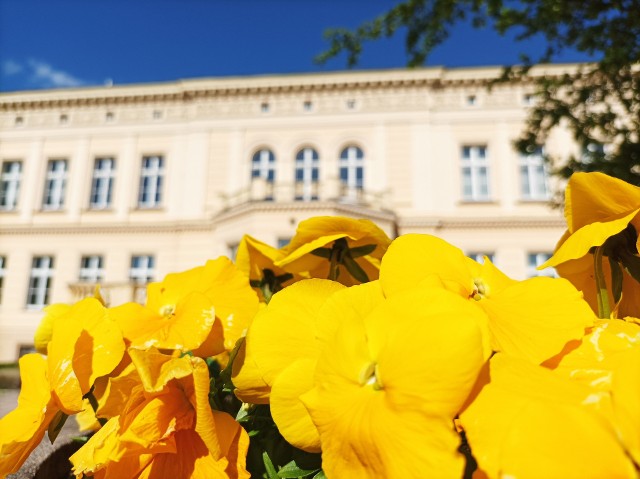 Słoneczna majówka przed Pałacem Nowym w Ostromecku. Niestety w przyszłym tygodniu zrobi się pochmurno i deszczowo