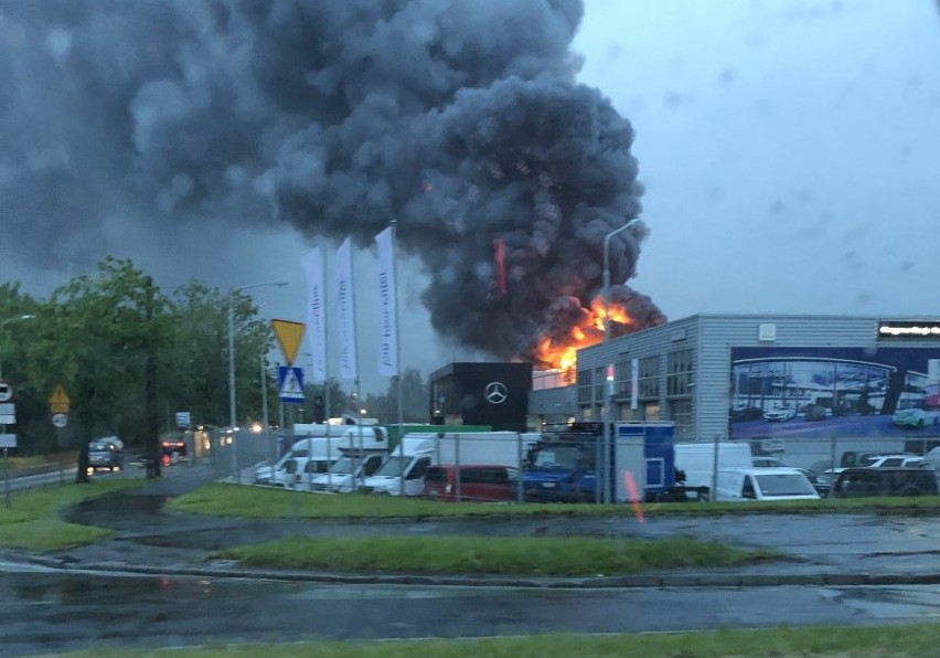 Potężny pożar salonu Mercedesa koło Korony [ZDJĘCIA]