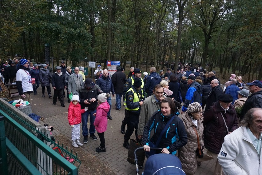 Wszystkich Świętych w Poznaniu: Trwa zbiórka na Rossę - 1...