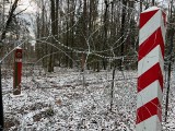 Straż Graniczna zdemaskowała oszusta. Fałszywy obywatel Syrii na granicy polsko-białoruskiej