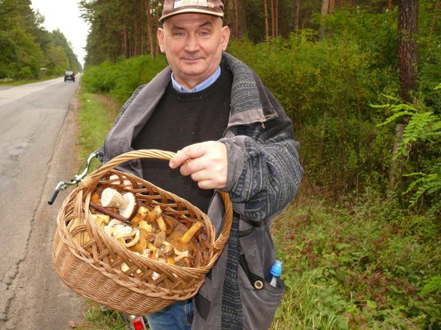W Stalowej Woli jest wielu grzybiarzy, którzy wracają z grzybobrania z takimi trofeami.