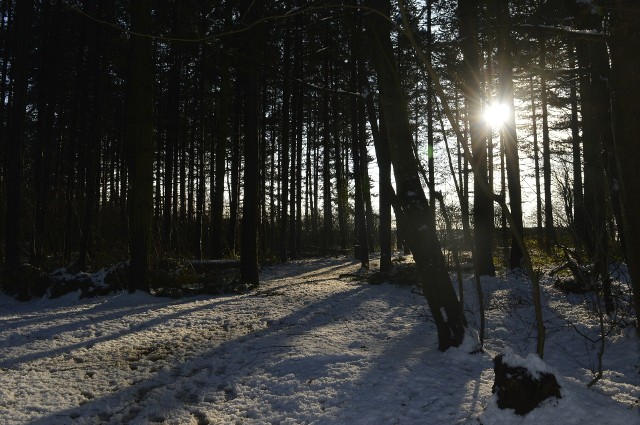 Według synoptyków 24 grudnia ma być pochmurno, lekkie opady deszczu. Maksymalna temp. 4 stopnie na plusie w dzień, a w nocy 3 stopnie powyżej zera. Wiatr południowo-zachodni z prędkością 15 do 30 km/h. Pogoda na piątek 21 grudnia