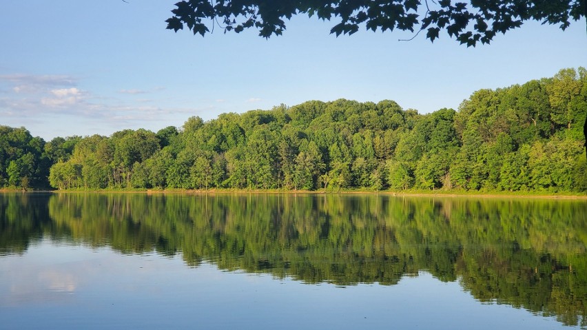 Jezioro Leśniańskie to zbiornik zaporowy na rzece Kwisie,...