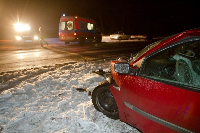 Wypadek pod Kołobrzegiem. Renault uderzyło w drzewo.