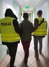 Seria włamań w Kędzierzynie-Koźlu. Do 37-letniego złodzieja policjantów doprowadziła Furia, pies policyjny