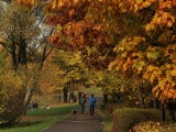 Dolina Trzech Stawów w Katowicach jesienią. To jeden z najpiękniejszch parków w regionie. Oto polska złota jesień na Sztauwajerach