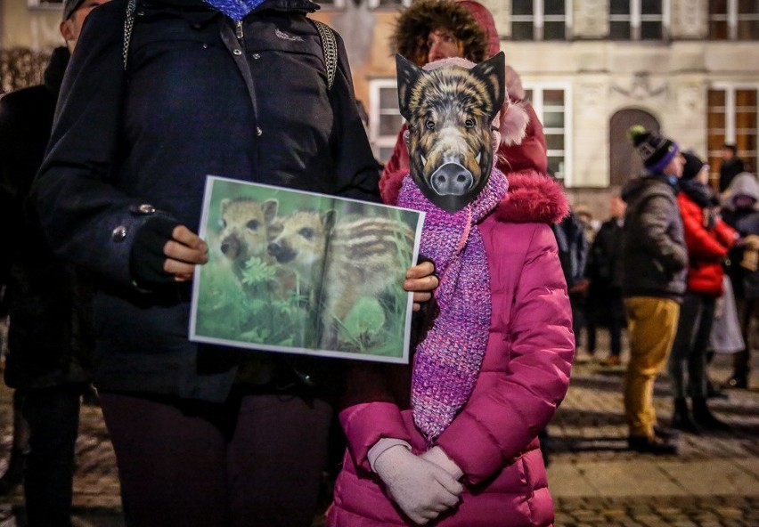 Gdański protest przeciwko masowemu odstrzałowi dzików,...