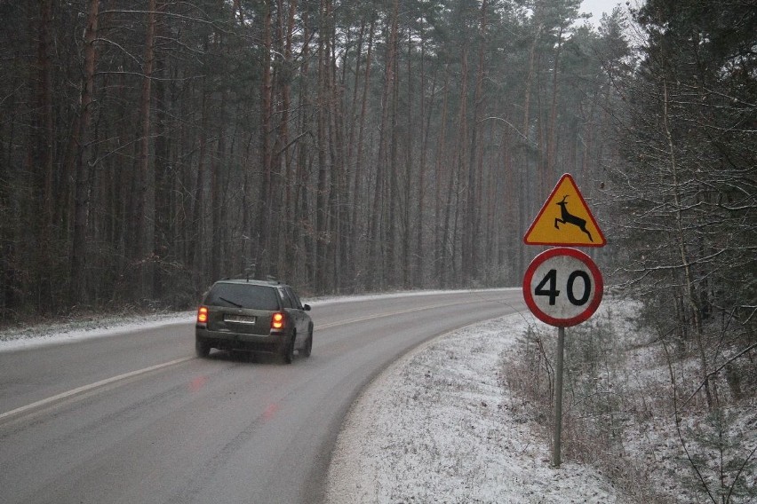 Dwie śmierci na jednej drodze w Borkowie koło Kielc. Przypadek czy zaniedbania drogowców? 