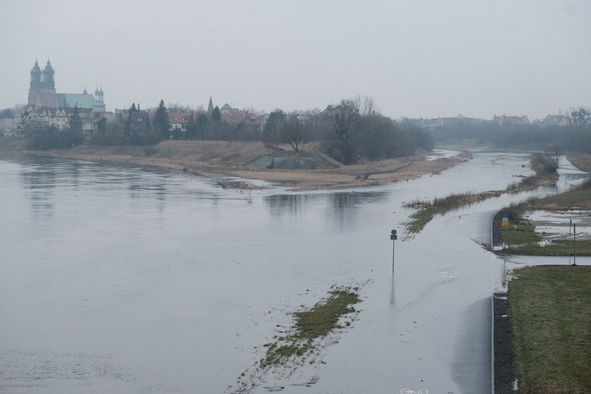 Wysoki poziom Warty i Cybiny w Poznaniu. Wartostrada zalana