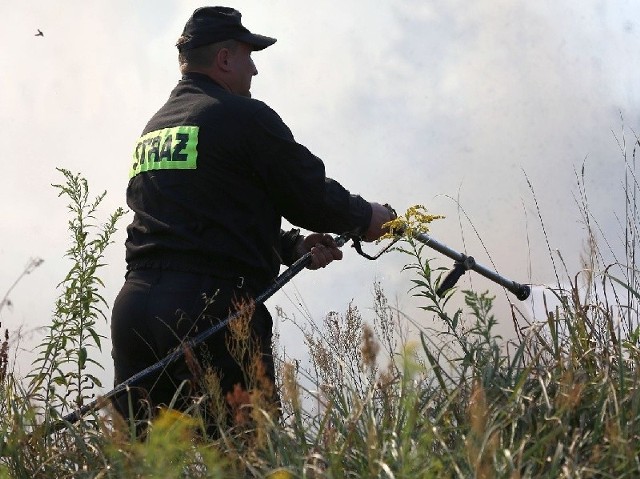 Gaszenie pożaru lasu w Stanach.