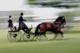 Tradycje wyścigów konnych we Wrocławiu sięgają średniowiecza. Na Partynicach konie ścigają się od 1907 r. Jak się zmieniał tor wyścigowy
