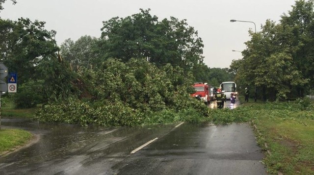 Sobotnia nawałnica w Poznaniu