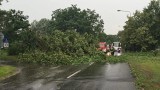 Poznań: Po nawałnicy dwie osoby trafiły do szpitala