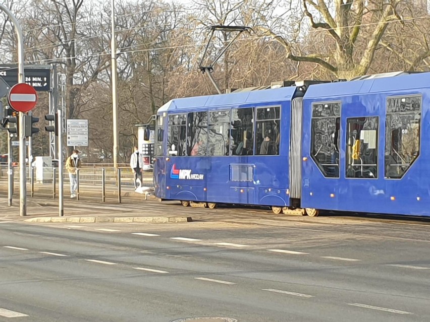 Łabędź zatrzymał ruch na moście Pokoju. Tramwaje jeździły objazdami