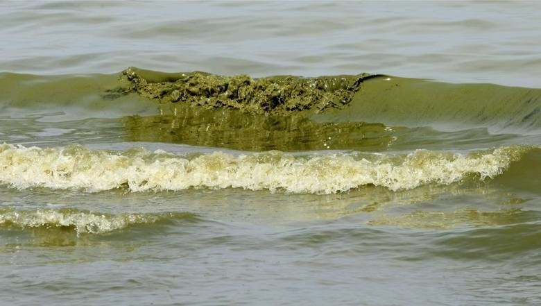 Sanepid uspokaja. Woda na kąpieliskach bez podwyższonych norm Escherichia coli oraz Enterokoków