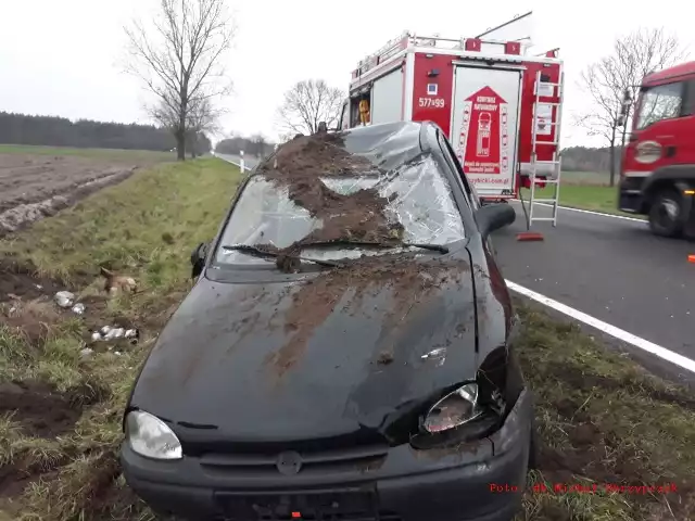 Do zderzenia samochodu osobowego z sarną doszło w poniedziałek, 18 listopada. Auto dachowało. Interweniowali strażacy i policja.