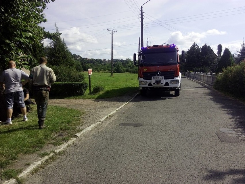 Pies przez sześć dni przebywał w kanale burzowym. Uratowali go strażacy [ZDJĘCIA]