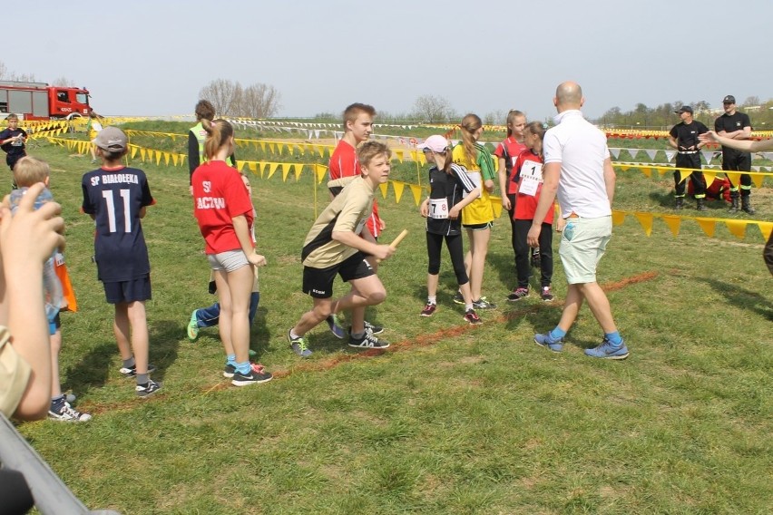 Cross Straceńców 2015. Sztafetowe Mistrzostwa Głogowa [Zdjęcia]