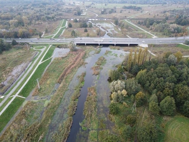 Widawa na Psim Polu we Wrocławiu