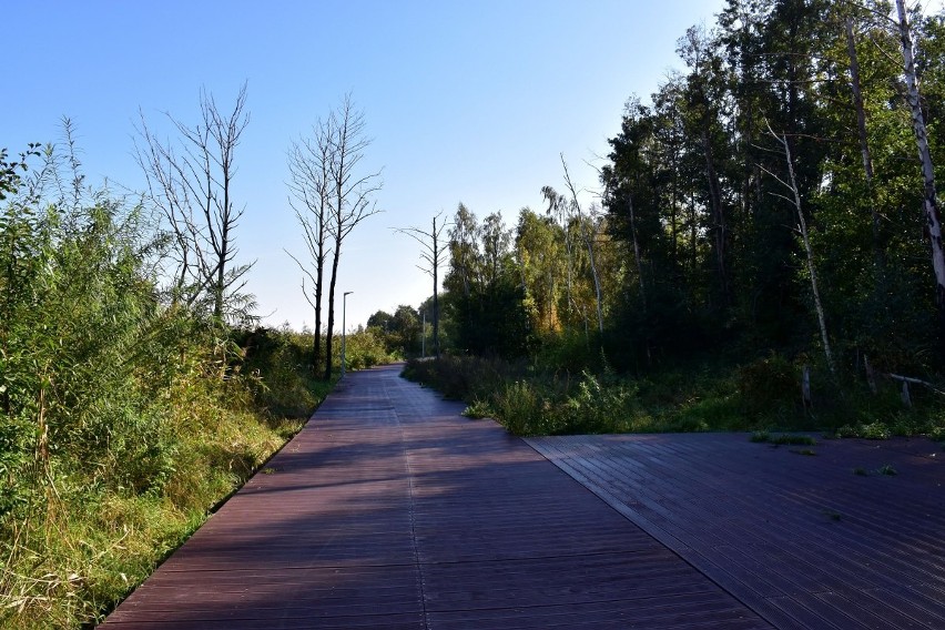 Promenada w Trzebieży. Brakuje ławek, śmietników i leżaków. Dlaczego?