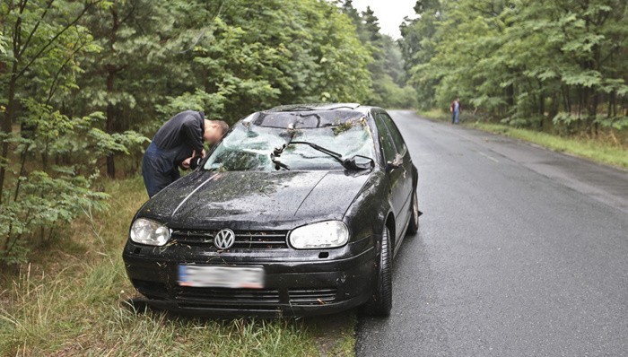 Do zdarzenia doszło w środę (29 czerwca) na drodze koło...