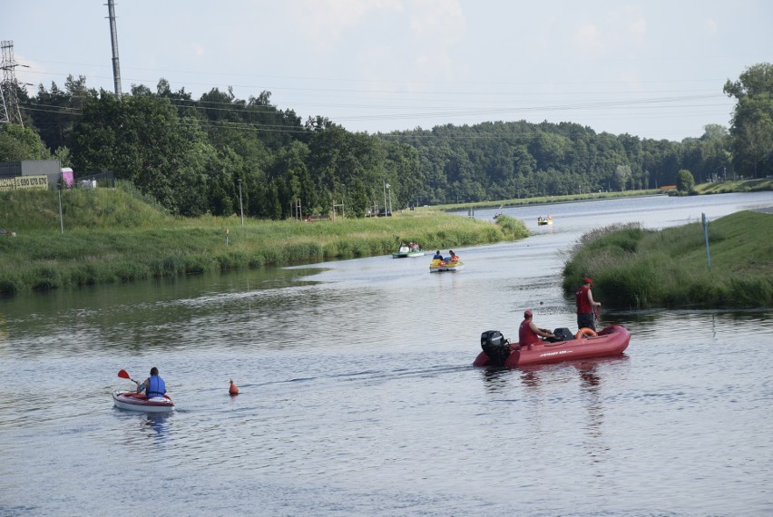 Skierniewice ogrodem wrażeń. Z Jabłcusiem zwiedzimy miasto