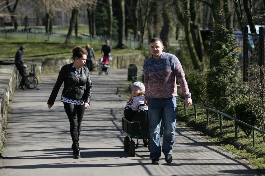 Śląski Ogród Zoologiczny