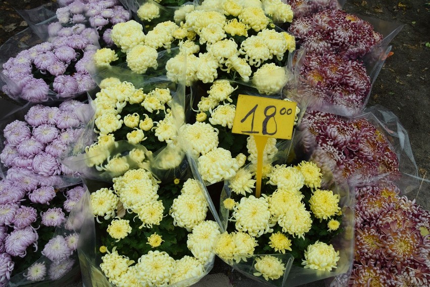Stroiki, kwiaty i znicze. Porównaliśmy ceny na cmentarzach we Wrocławiu [ZDJĘCIA]