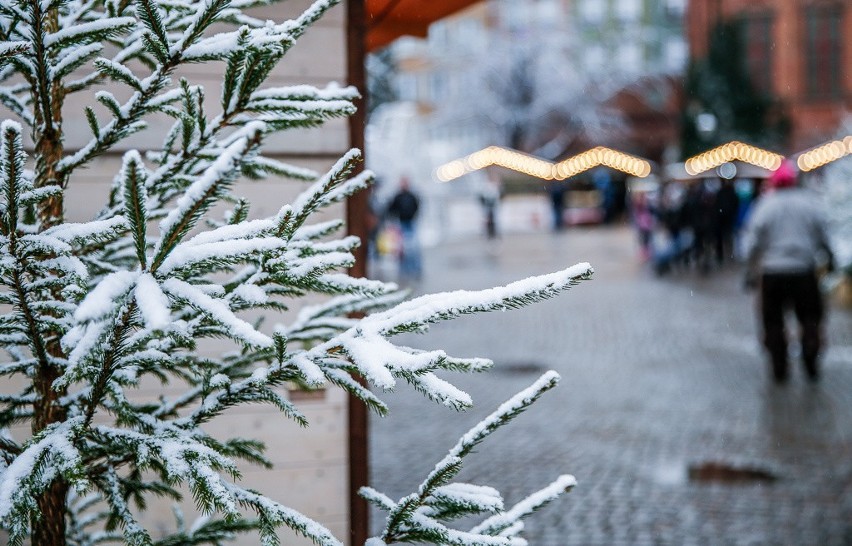 Śnieg w Gdańsku.