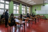 Próbna matura 2021 z języka polskiego. Pierwsze wrażenia uczniów po egzaminie 3.03.2021 roku. Komentarze i opinie