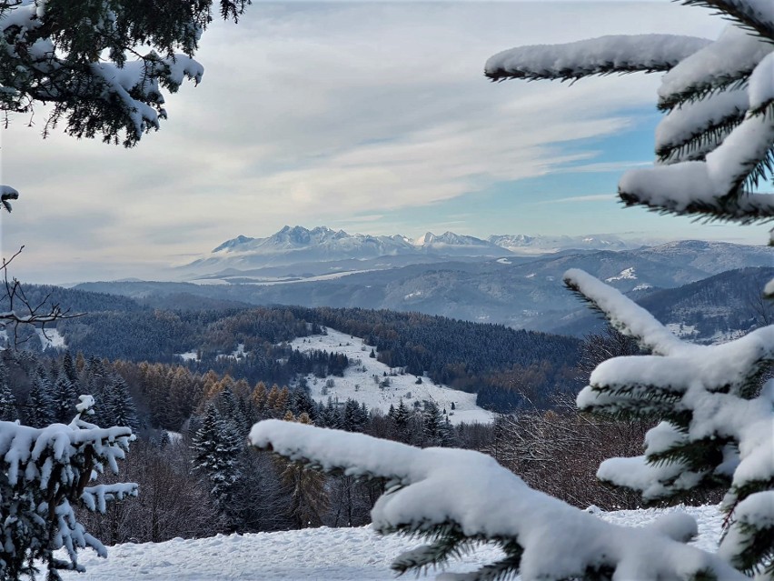 Beskid Sądecki. Zima zawitała w góry. Piękne widoki z Bacówki nad Wierchomlą, widać nawet Tatry. Zobacz zdjęcia