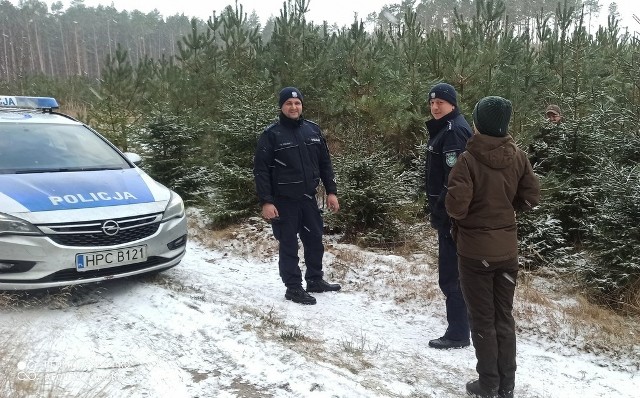 Kontrola miejsc, gdzie wycinane są choinki