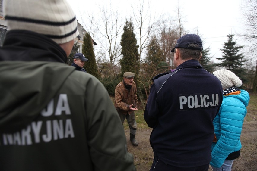 Głodne i brudne psy w starej szopie pod Krakowem