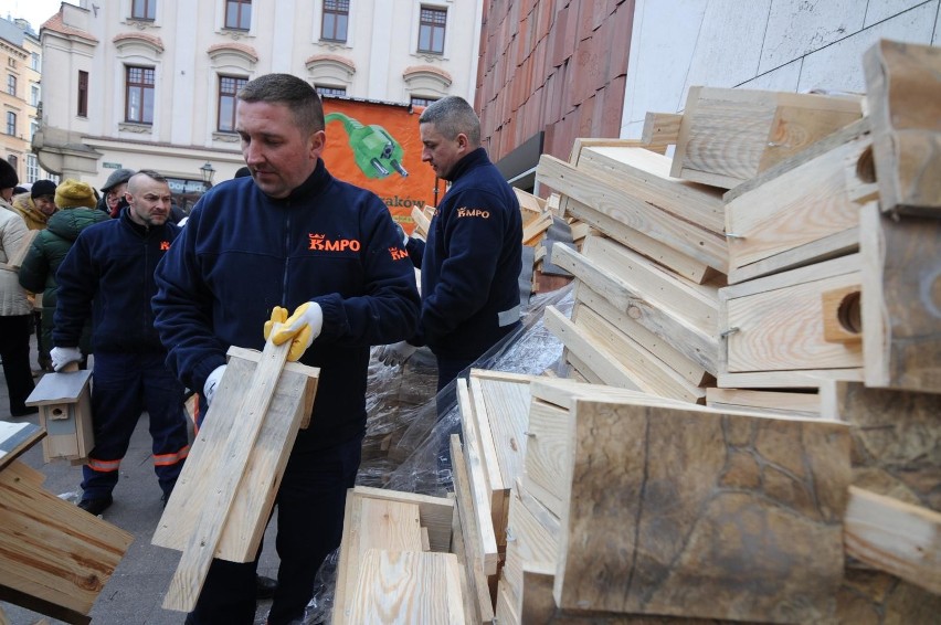 Kraków. Budki lęgowe dla ptaków, a w nich... gwoździe. "Nie dopilnowaliśmy, przepraszamy"