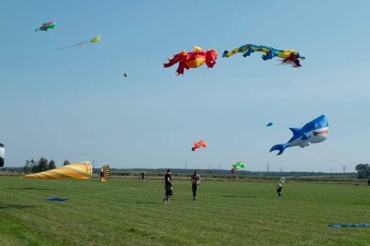 Brzeziński Festiwal Wiatru. W niebo wzlecą smoki, meduzy i ryby. Zaprasza klub "Sky Team"