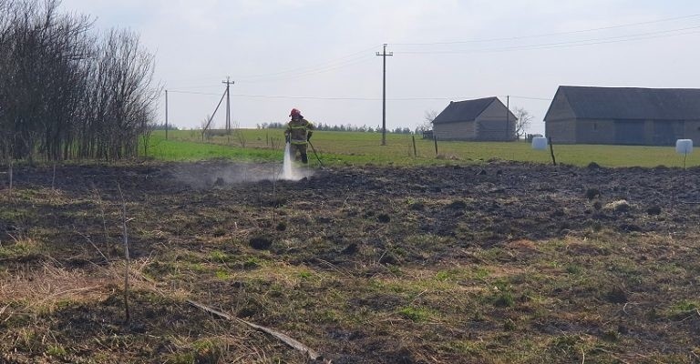 Gmina Grajewo. Pożar suchej trawy w Modzelówce. Przyczyną pożaru była ludzka lekkomyślność 