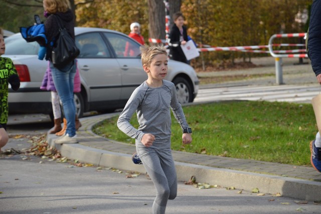Dobrze wypadli zawodnicy z Rudnika w biegach w Puławach.