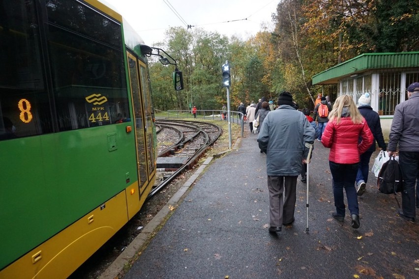 Poznań: Na cmentarz na Miłostowie przybywa coraz więcej...