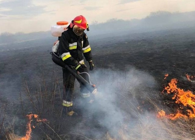 Strażacy z powiatu radomskiego i szydłowieckiego mają najwięcej roboty w związku z tegorocznym wypalaniem traw.