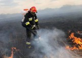 Ponad 550 wyjazdów straży do pożarów traw w regionie radomskim. Najwięcej w powiecie szydłowieckim i radomskim