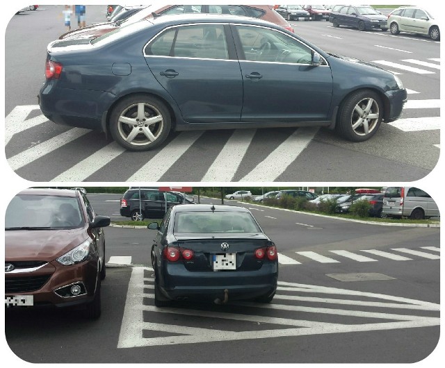 Autodrań został przyłapany na gorącym uczynku w Zielonej Górze