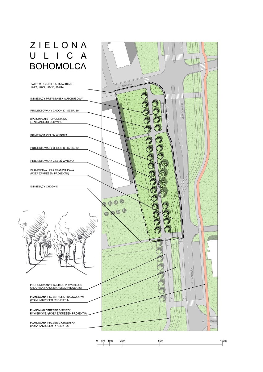 Projekt "Zielona ulica Bohomolca"