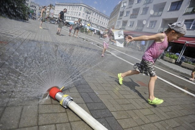 I tu po raz kolejny sprawdza się stare porzekadło, że jeśli nie wiadomo o co chodzi, to zwykle chodzi o pieniądze. - Samo ustawienie kurtyn to nie problem, ale w czasie, kiedy one działają, na miejscu musi być strażak ochotnik, któremu przecież trzeba zapłacić - przekonuje. - Godzina jego pracy kosztuje 20 złotych, a kurtyna działałaby co najmniej przez 7 godzi dziennie. Rachunek jest więc prosty - tylko jeden dzień jego pracy to 140 złotych. Na razie nas na to nie stać - kwituje.